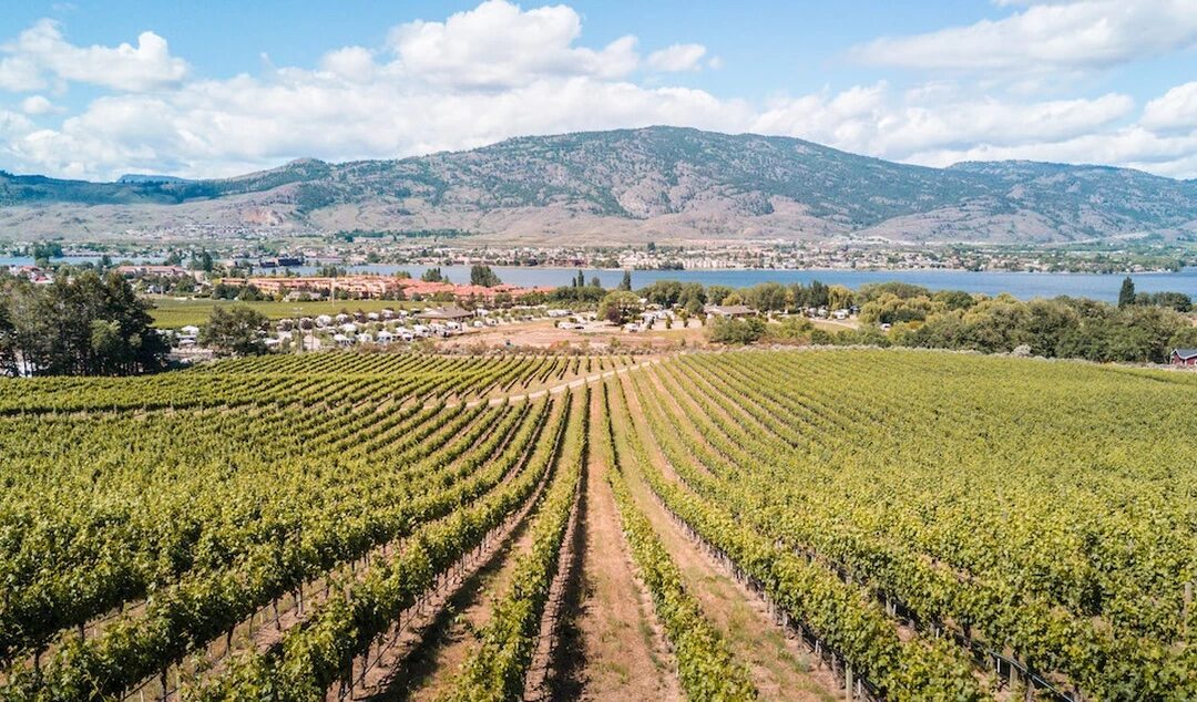 Vancouver Sun: Four reasons to visit B.C.’s South Okanagan now