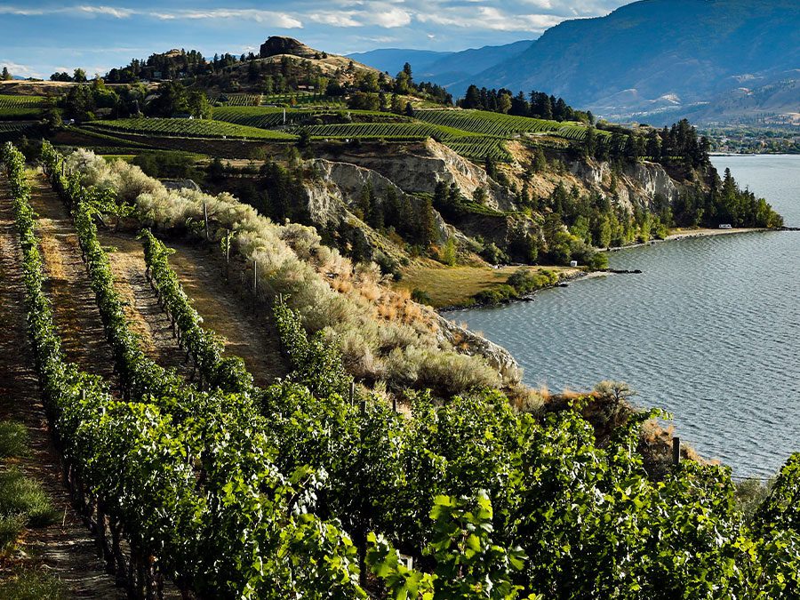 Zoomer: Naramata Magic: A Guide to This Okanagan Valley Town and Wine Region, Plus Recipes